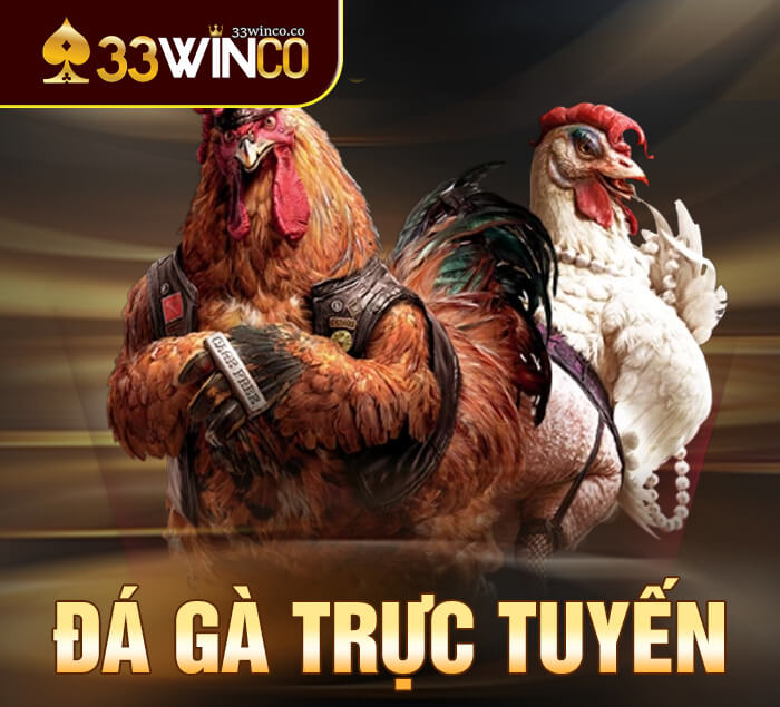Đá gà trực tuyến 33WIN