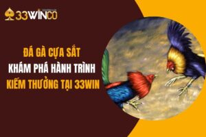 Đá Gà Cựa Sắt: Khám Phá Hành Trình Kiếm Thưởng Tại 33Win